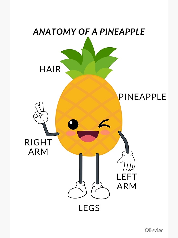 Anatomy Of A Pineapple Cool Pineapple Full Design Poster For Sale By