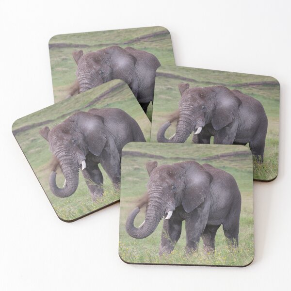 Item preview, African Bush Elephant (Loxodonta africana) designed and sold by Yair Karelic.