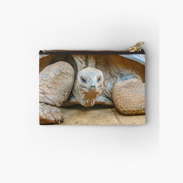 Item preview, Giant Tortoise designed and sold by Gary Chadbond Photography.