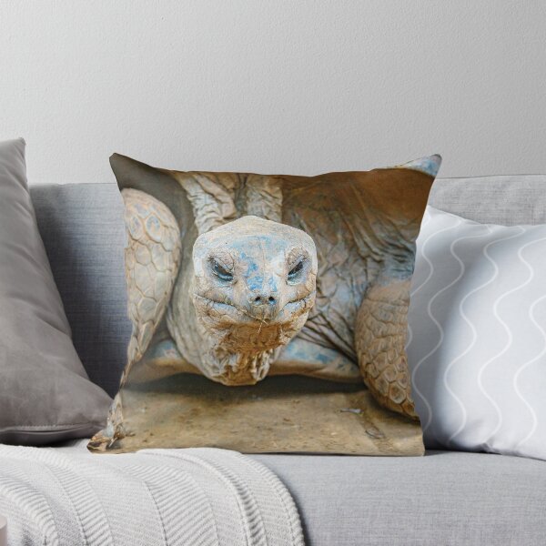 Item preview, Giant Tortoise designed and sold by Gary Chadbond Photography.