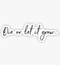 Roses - Shawn Mendes Sticker