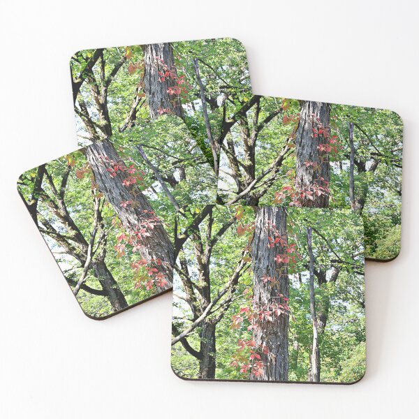 Item preview, Poison Ivy in the Fall designed and sold by Martha Sherman.