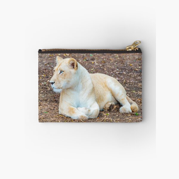 Item preview, Lion designed and sold by Gary Chadbond Photography.