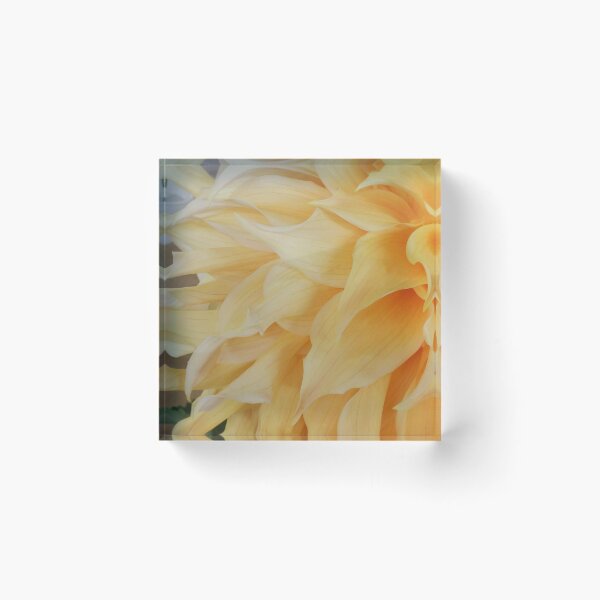 Item preview, Yellow dahlia flow designed and sold by Maxiverse.