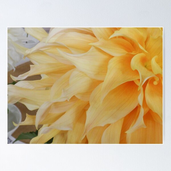 Item preview, Yellow dahlia flow designed and sold by Maxiverse.
