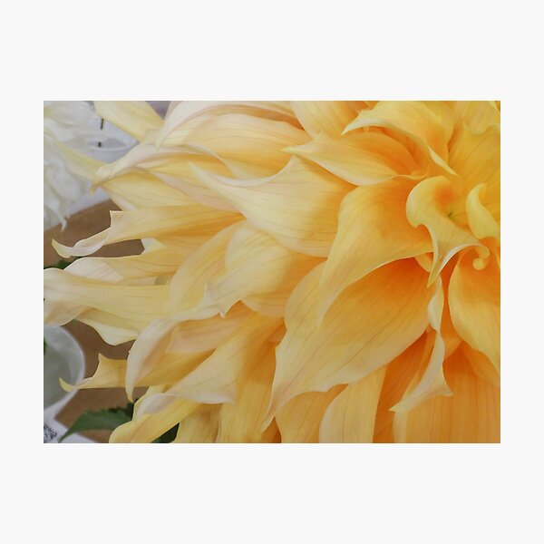 Item preview, Yellow dahlia flow designed and sold by Maxiverse.