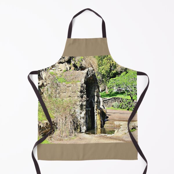 Item preview, Warm Springs Grotto, Alum Rock Park designed and sold by Martha Sherman.