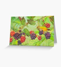 Very berry Greeting Card