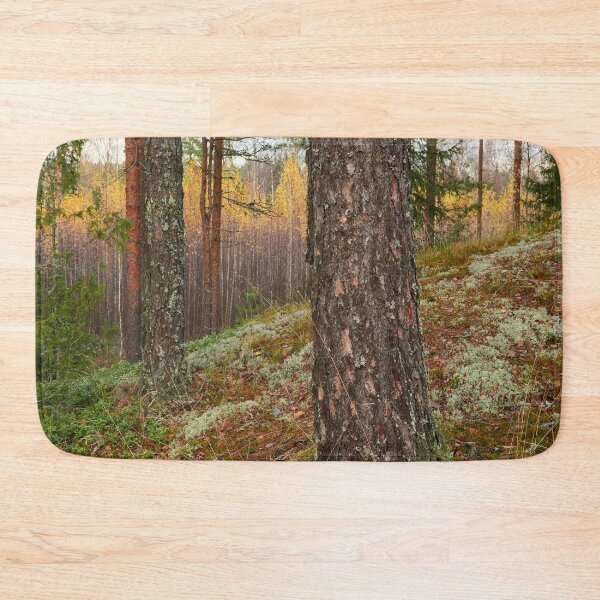 Item preview, The north side. Pine forest designed and sold by Jouko Lehto Photography.