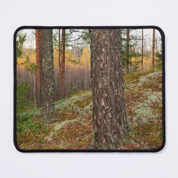 Item preview, The north side. Pine forest designed and sold by Jouko Lehto Photography.