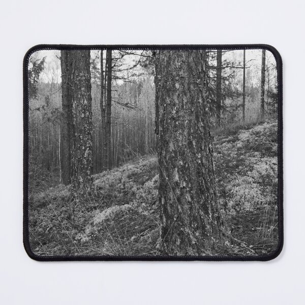 Item preview, The north side. Pine forest bw designed and sold by Jouko Lehto Photography.
