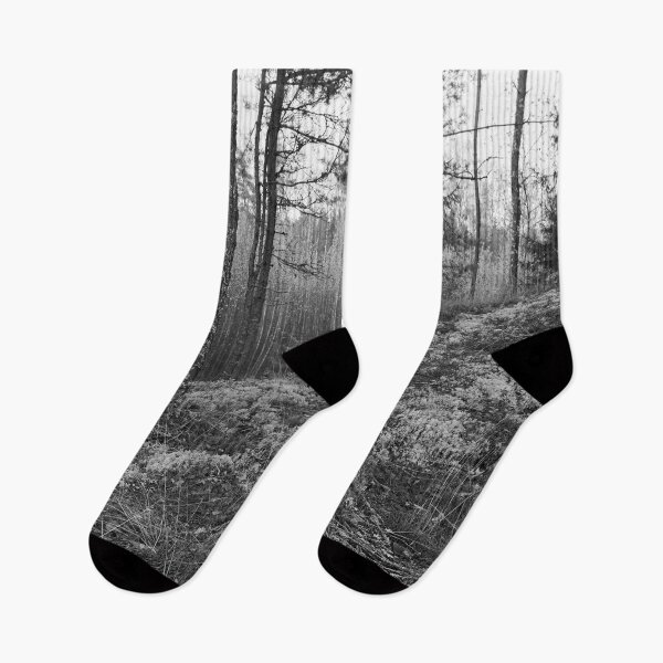 Item preview, The north side. Pine forest bw designed and sold by Jouko Lehto Photography.