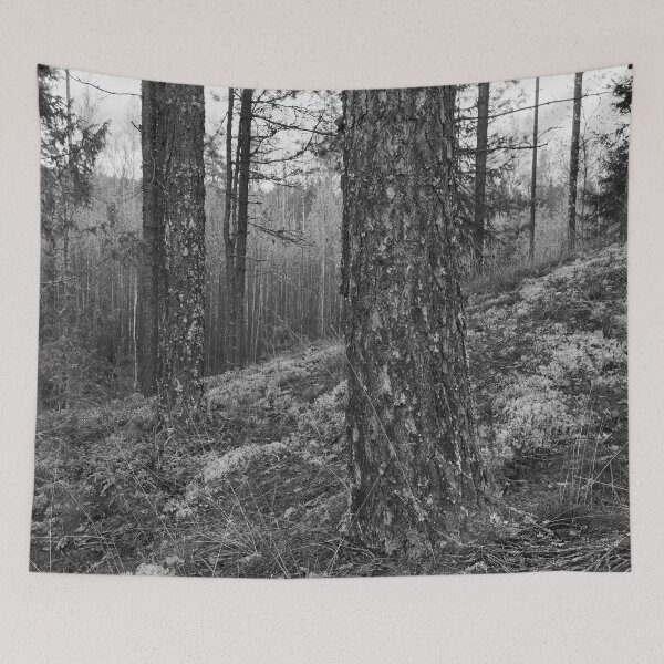 Item preview, The north side. Pine forest bw designed and sold by Jouko Lehto Photography.