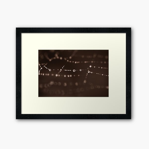 Humankind has not woven the web of life. We are but one thread within it.... Framed Art Print