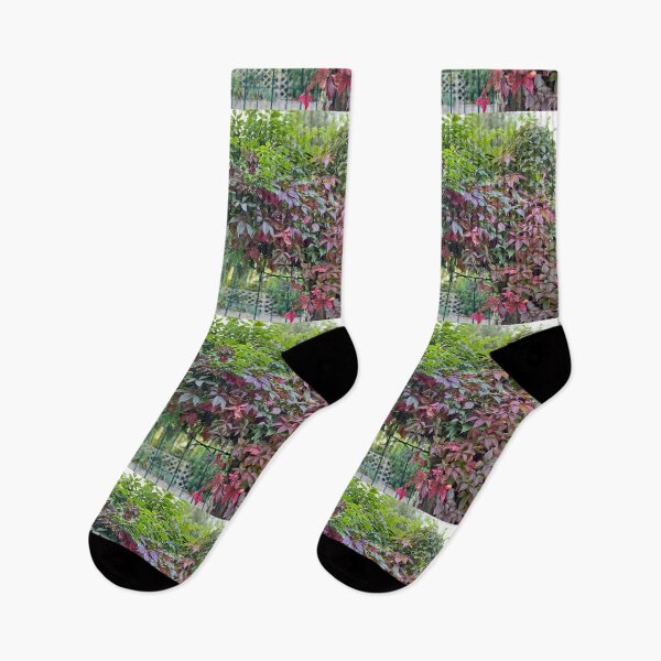 Item preview, Home from the Autumn Allotment designed and sold by AllotmentCapers.