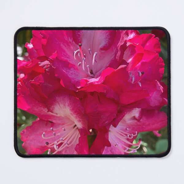Item preview, Stunning Rhodo designed and sold by Chriscolibaba.