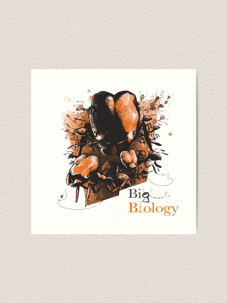Thumbnail 1 of 3, Art Print, Super soldier ants designed and sold by BigBiology.