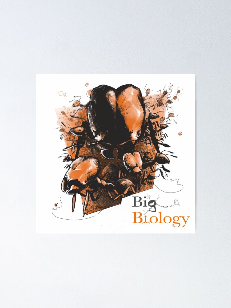 Thumbnail 1 of 3, Poster, Super soldier ants designed and sold by BigBiology.