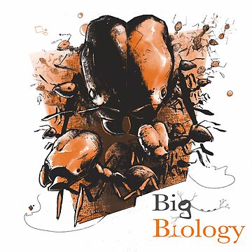 Artwork thumbnail, Super soldier ants by BigBiology