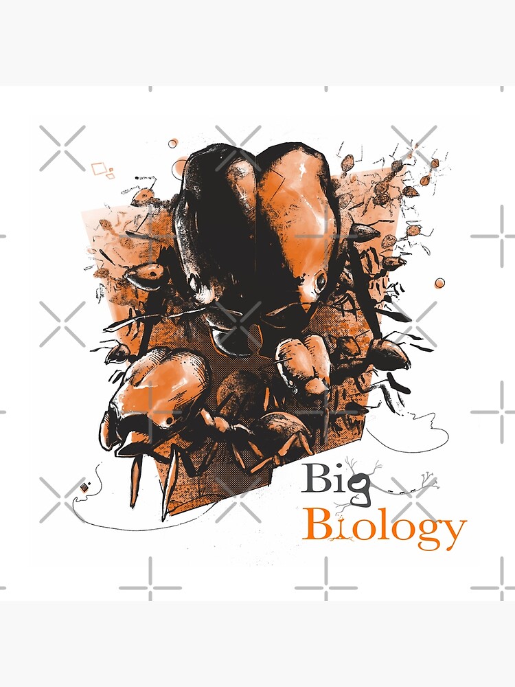 Thumbnail 4 of 4, Pillow, Super soldier ants designed and sold by BigBiology.