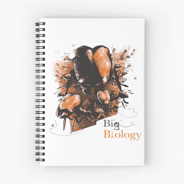 Item preview, Super soldier ants designed and sold by BigBiology.