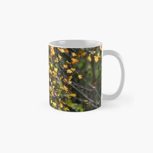 Autumn Stickers Classic Mug