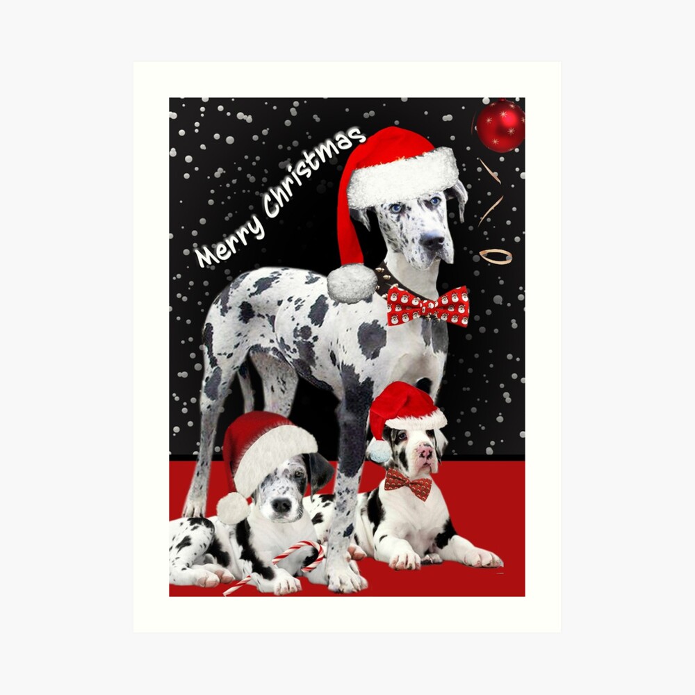 Great dane shops christmas