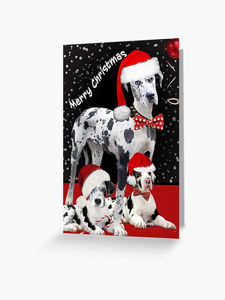 great dane christmas cards