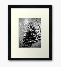 Snow Scene Framed Print
