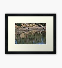 tranquil Framed Print