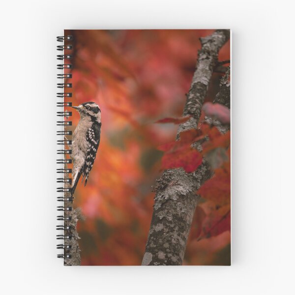 Item preview, Woodpecker designed and sold by Vsaditya2020.