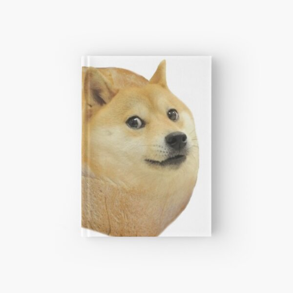 27+ Funny Doge Memes Gif Background