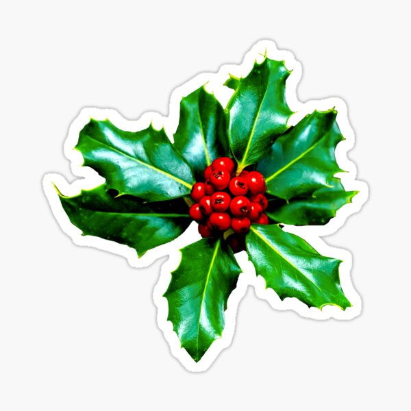 Christmas Holly Berries Sticker