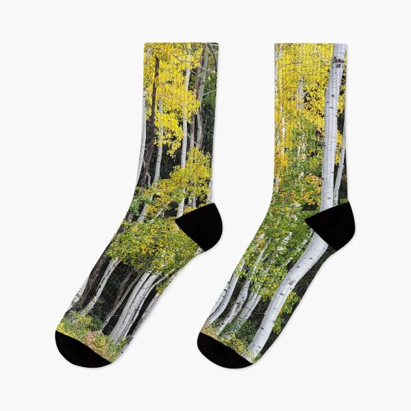 Item preview, Forest of Aspens designed and sold by EyeOfDelight.