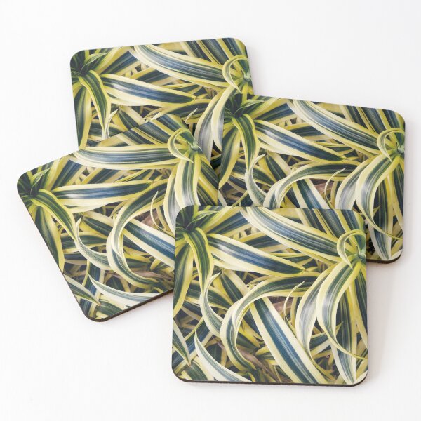 Item preview, cactus flower grows in a pot designed and sold by IgorKovalenko.