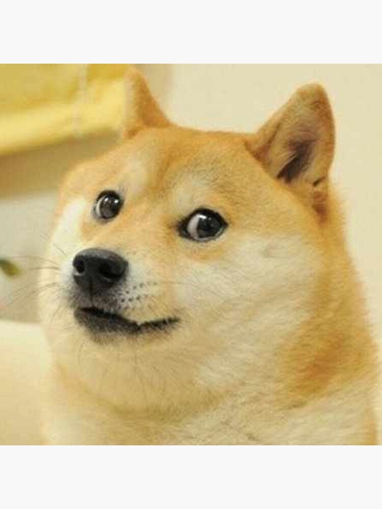 Doge Meme by Memesense