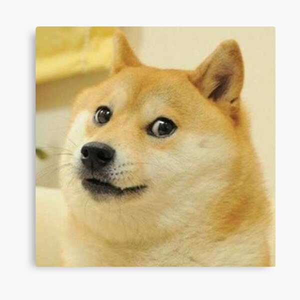 Doge Canvas Prints Redbubble - shibe doge shrek meme doge roblox memes doge meme