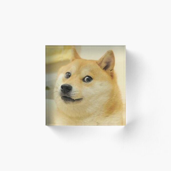 Doge Meme Acrylic Blocks Redbubble - dogecoin roblox cat internet meme deal with it transparent