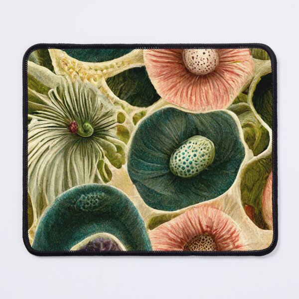 Item preview, Botanical illustration, inspired by corals and georgia o'keeffe designed and sold by B-outfiters.