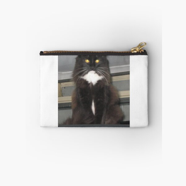 Item preview, Flarey Cat(2) designed and sold by 5stargear.