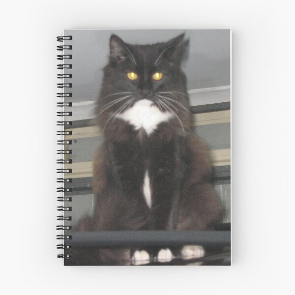 Item preview, Flarey Cat(2) designed and sold by 5stargear.