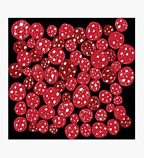 Salami Photographic Print