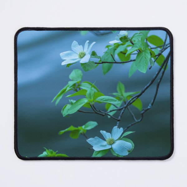 Item preview, Dogwoods designed and sold by jvnimages.