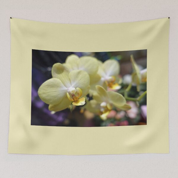 Item preview, pretty light yellow orchid flowers photography. designed and sold by naturematters.