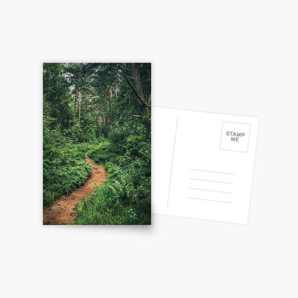 Item preview, Forest trail - July designed and sold by Marty-photo.
