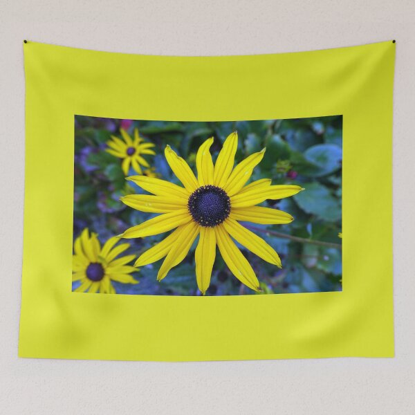 Item preview, beautiful yellow daisy flower photography, designed and sold by naturematters.
