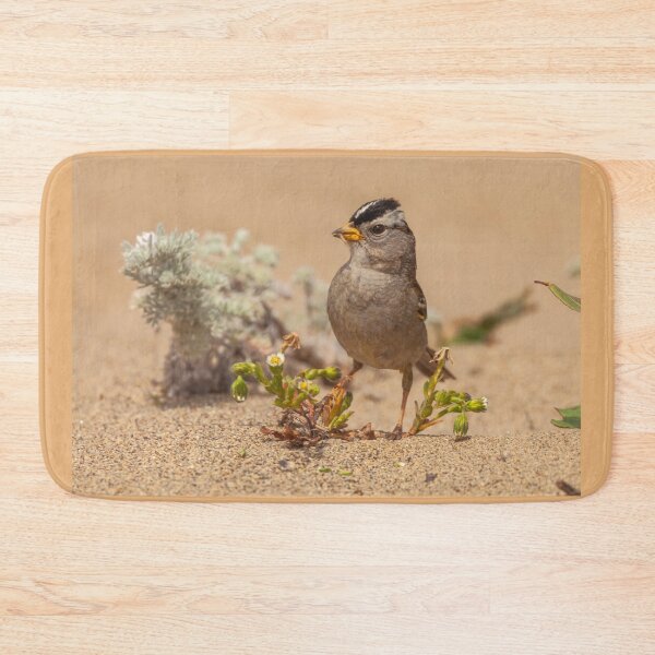 Item preview, Posing designed and sold by jvnimages.
