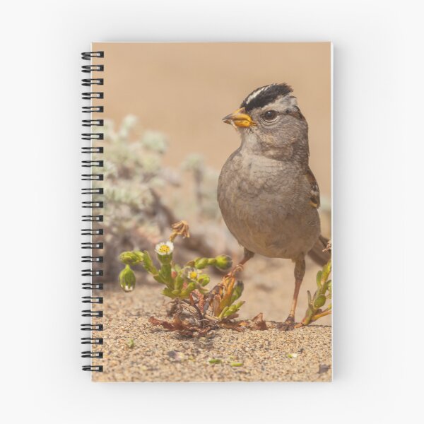 Item preview, Posing designed and sold by jvnimages.