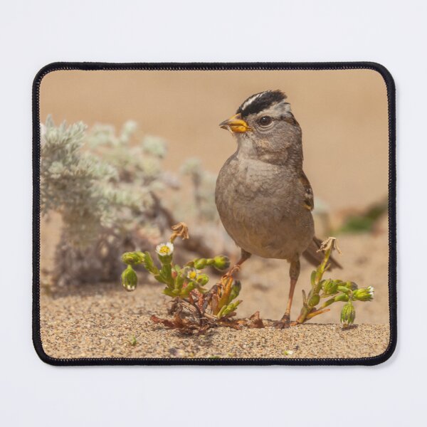 Item preview, Posing designed and sold by jvnimages.