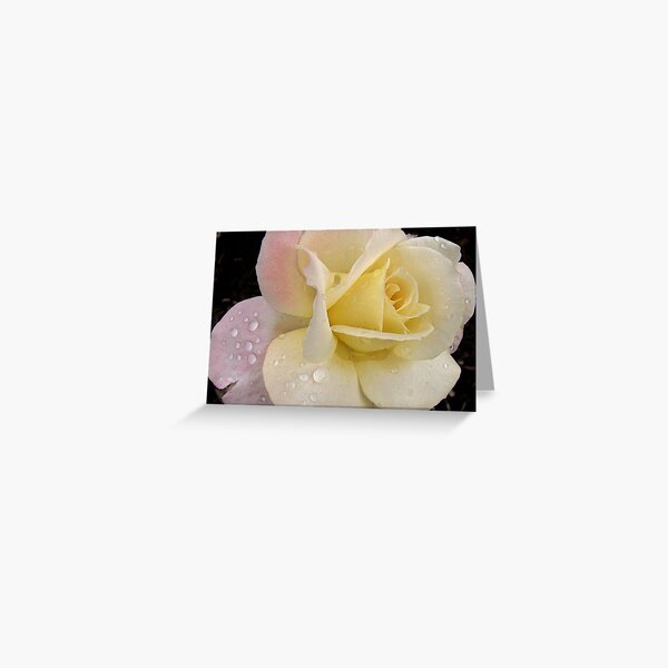 Raindrops on roses... Greeting Card